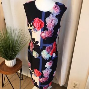 NWT Vince Camuto Navy Floral Scuba Style Dress 14